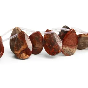 30x20mm Fossil Coral Plain Pears 16 inch 14 beads