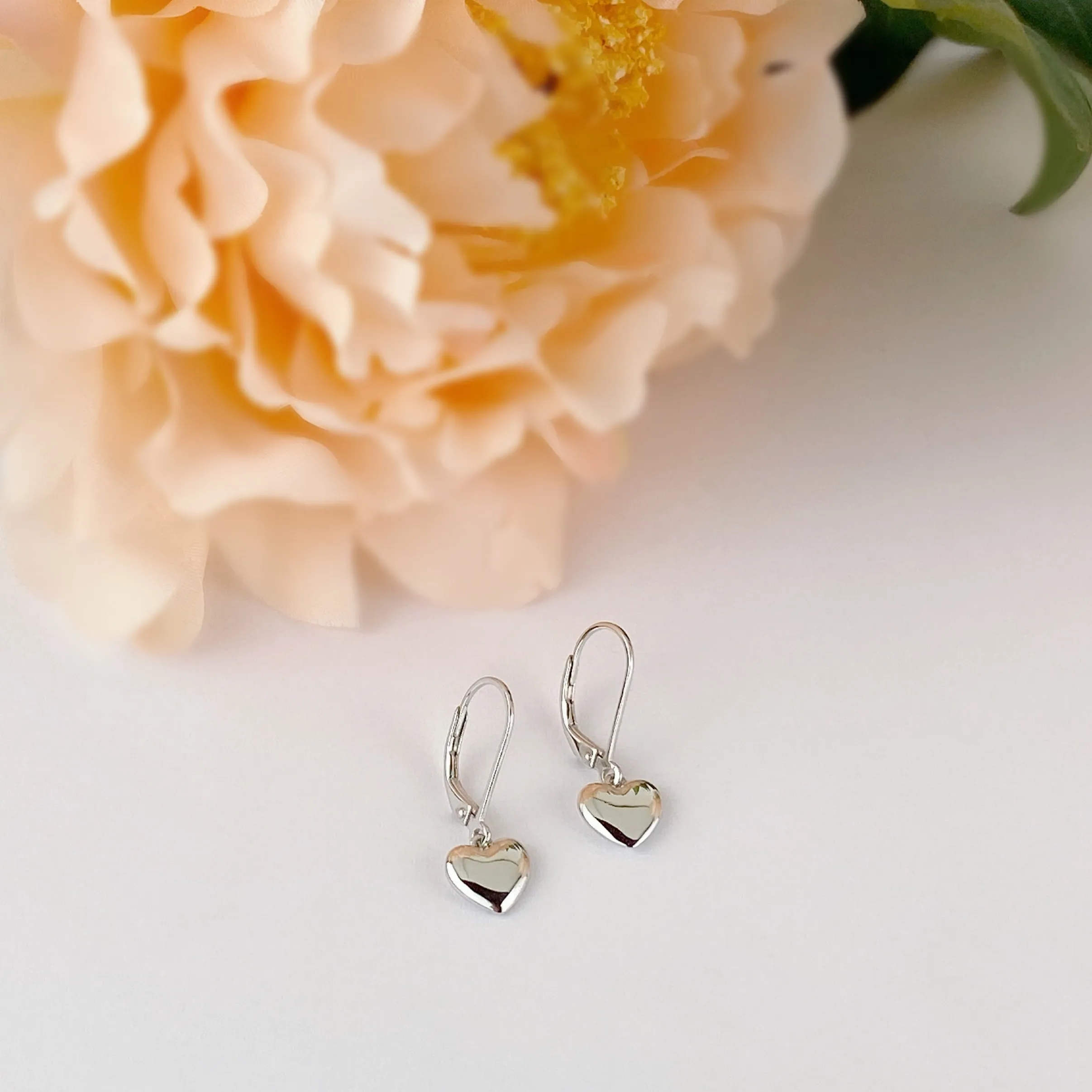 Little Heart Earrings - SE4885