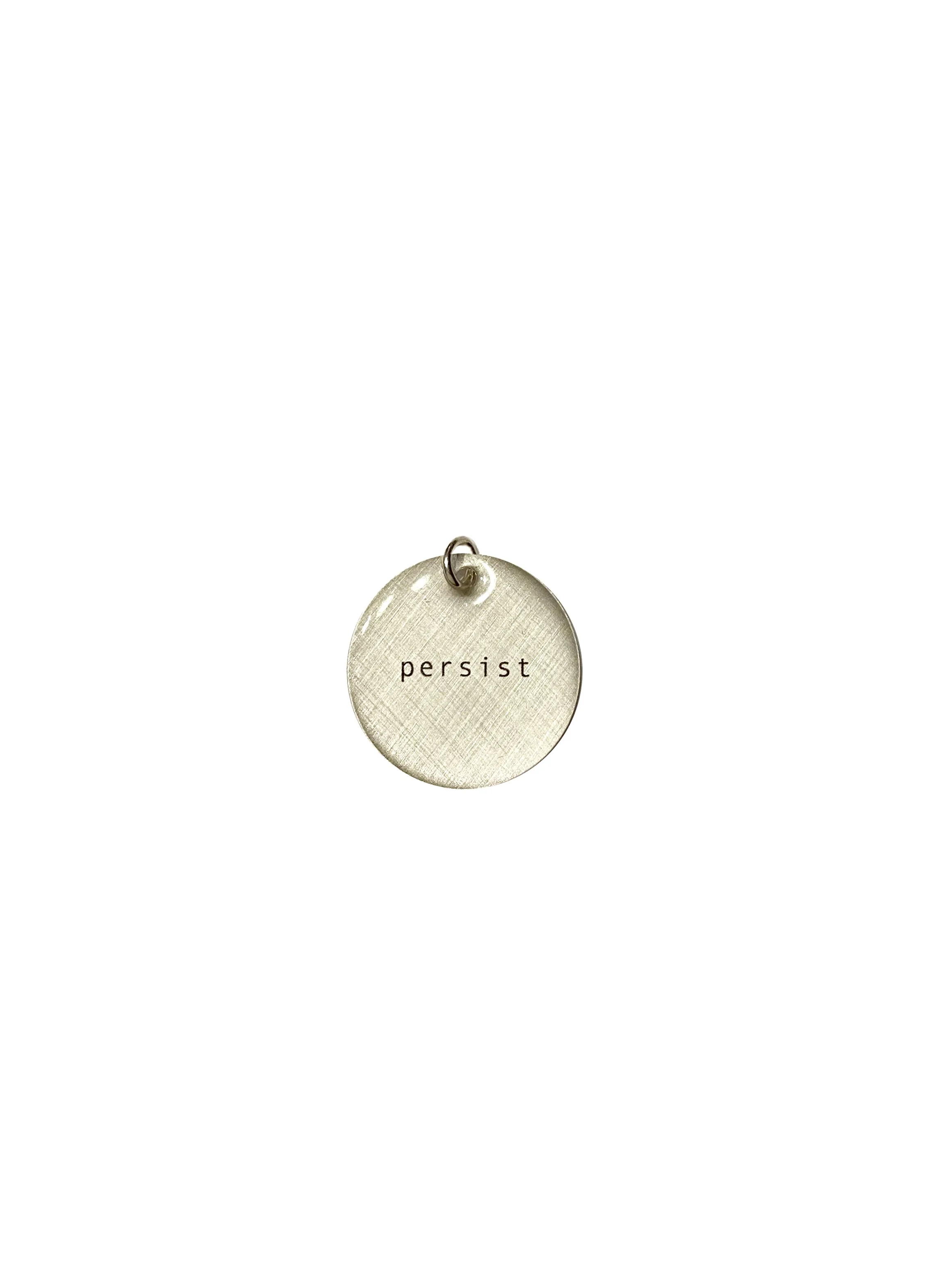 Persist Charm